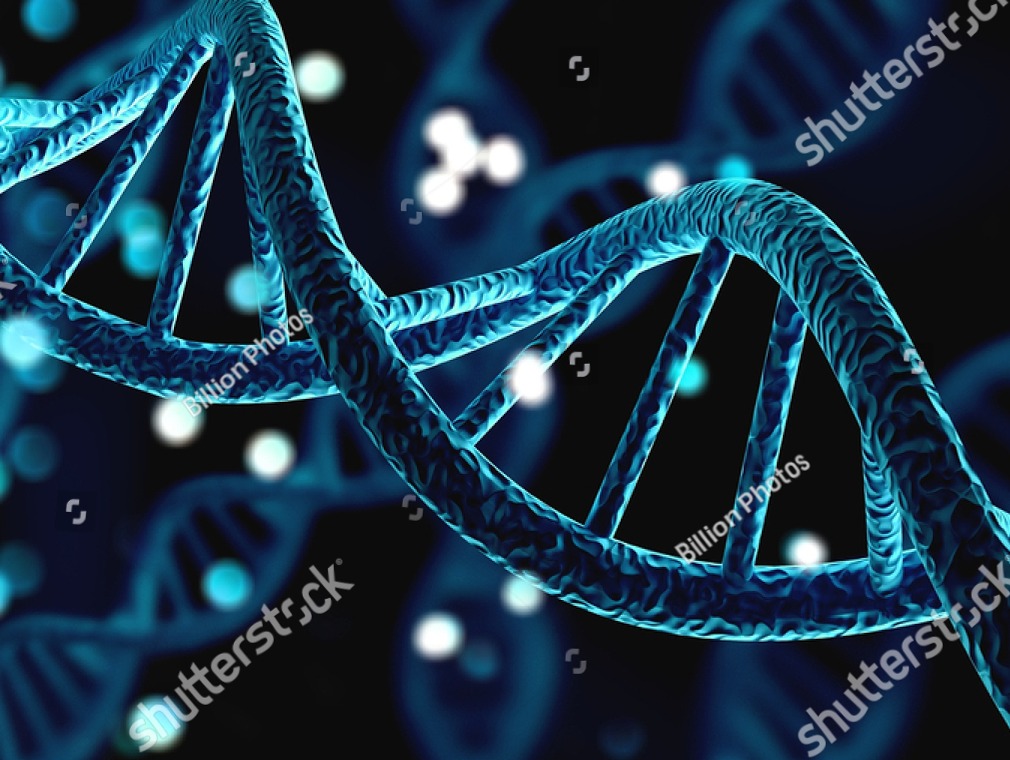 DNA Pol III Beta Site Inhibitor Project - Betathera